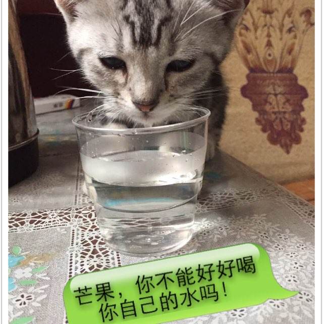 怎么找到西班牙数字货币ky认证资料